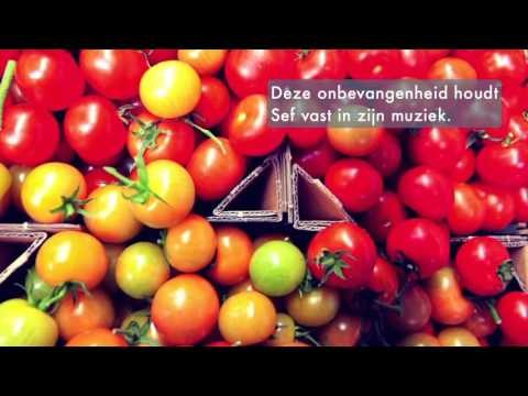 Sef weigerde hits te schrijven voor zijn nieuwe album