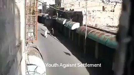 لحظة اطلاق النار على الشهيد فضل محمد عبدالله القواسمي من ‫‏الخليل‬ صباح يوم 17/10/2015