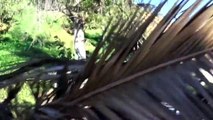 X17 EXCLUSIVE - Justin Bieber Tries Palms Fronds To Hide His Face After Hike