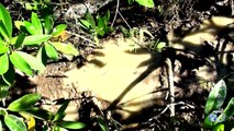 Mayan Tea Fail | Naked and Afraid: Bares All