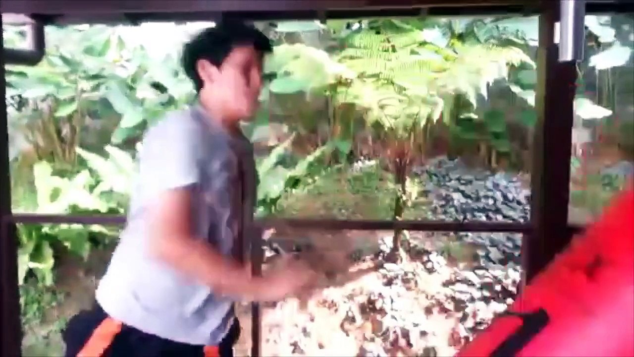Best Fails of the Week 3 November 2013 || FailArmy