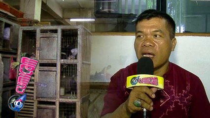 Pasar Ayam dan Sejarah Mester - Cumicam 19 Oktober 2015