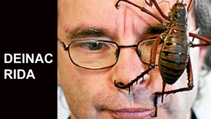 Dünyanın En Garip 10 Yemeği