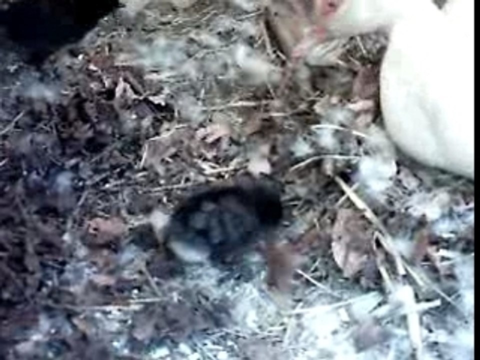 27.04.07 -12 Tage alt (2)