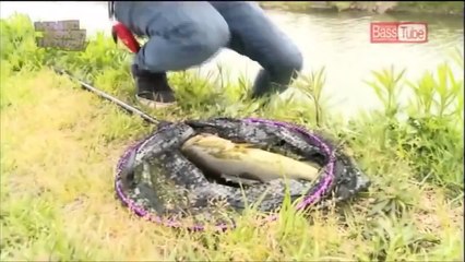 バス釣り 吉田撃 霞ヶ浦水系 --- Fishing Geki Yoshida