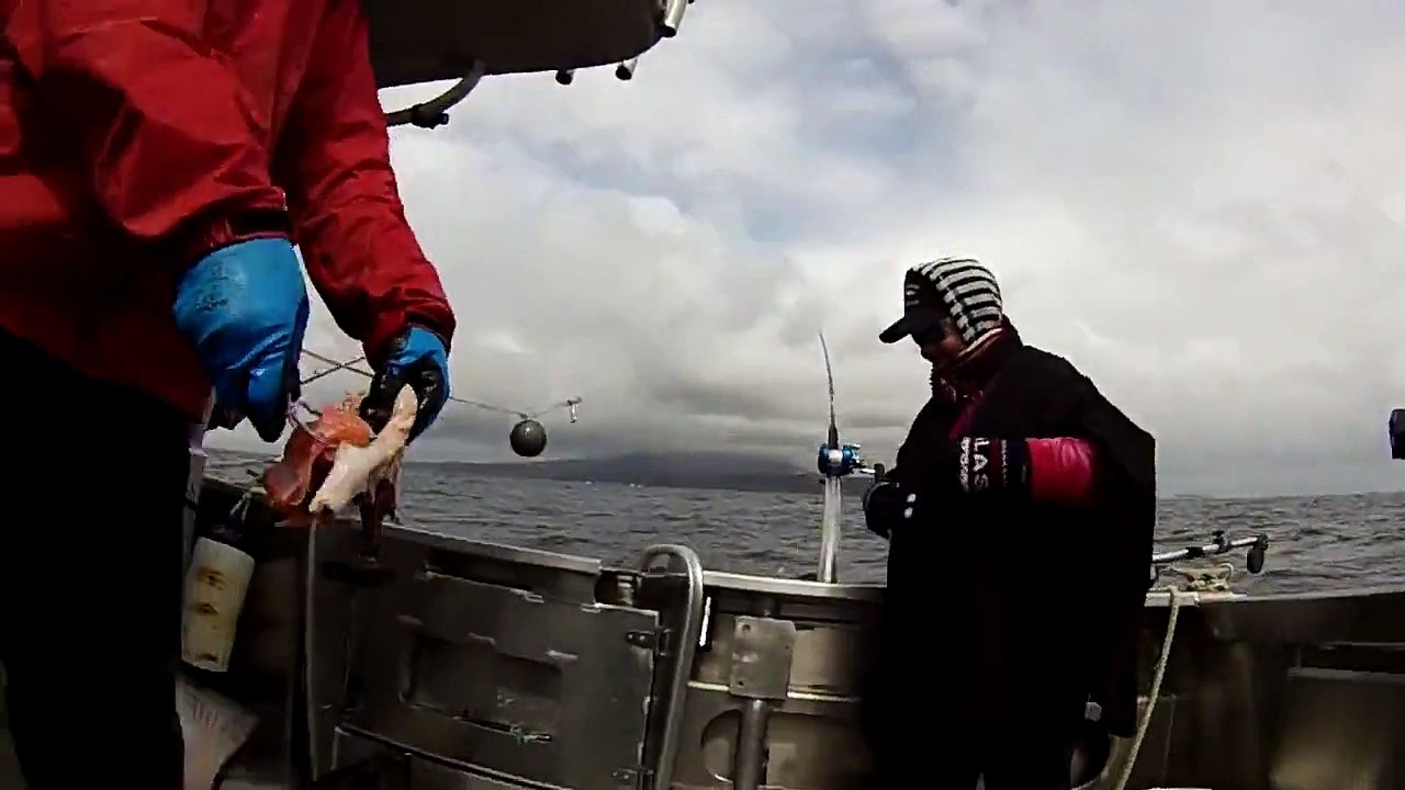 July 10, 2014 - Trophy Halibut?! - Pacific Parallax Daily Vlog