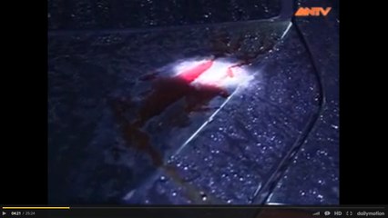 Hành Trình Phá Án-Từ vết máu trên sườn xe ô tô