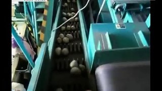 Latest technology for potato peeling machine