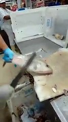 Wao amazing Fish cutting