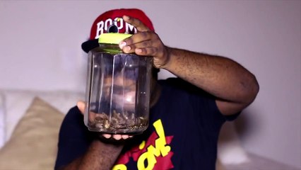 PEGADINHA BARATAS (Cockroach Prank)