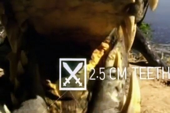 Crocodilo do Nilo em ataques mortais a outros animais, reino animal, vida selvagem