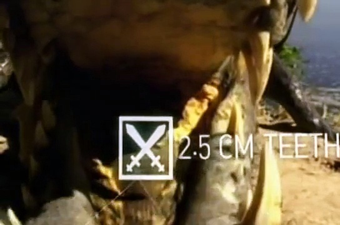 Crocodilo do Nilo em ataques mortais a outros animais, reino animal, vida selvagem