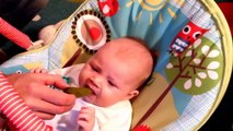 Babies Eating Pickles for the First Time Compilation ,19 Septembre 2015 NEW HD‬