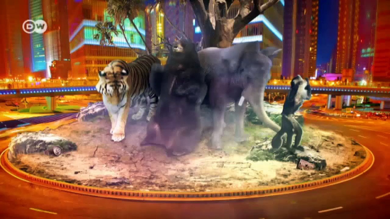 Mit einfachen Tricks zum Überleben | Wissen & Umwelt