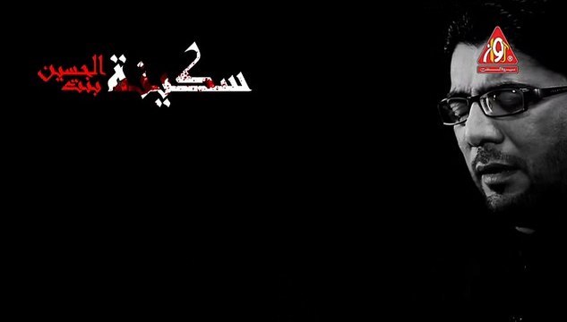 Mir Hassan Mir Nohay 2016 Ab Mujhe Koi Sakina (a.s) Nahi Kehta videonohay.com