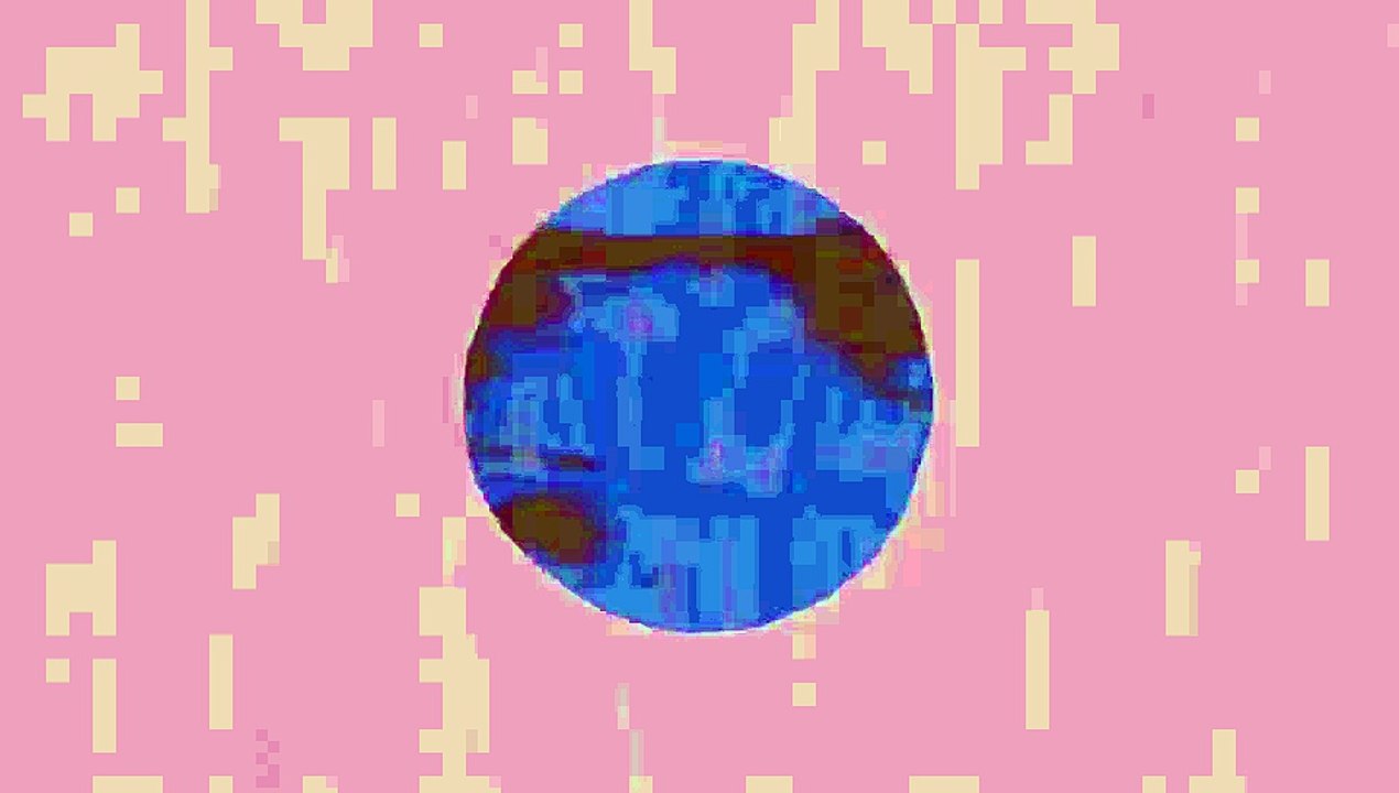 Bird migration, a perilous journey - Alyssa Klavans