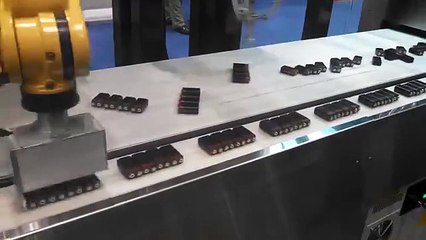 Packing Robots Display Amazing Precision