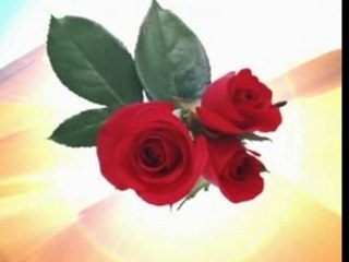 Medinenin Gülü-Fethullah Gülen