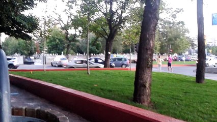 Cartier Titan  Eu si My Collie Tut - 2015-08-24