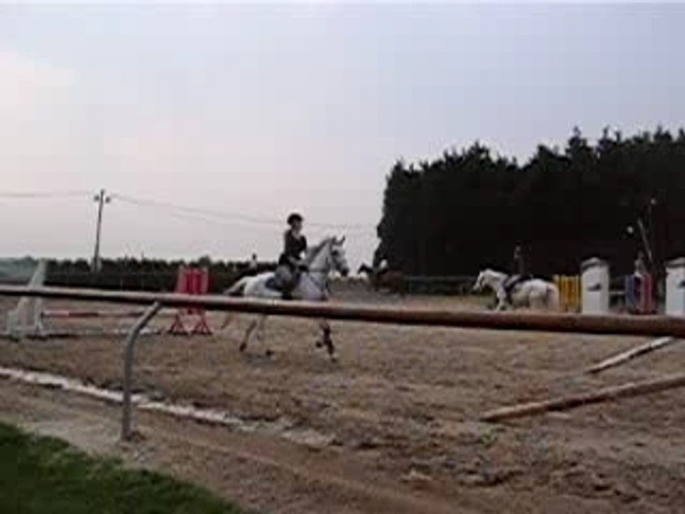 Petit saut