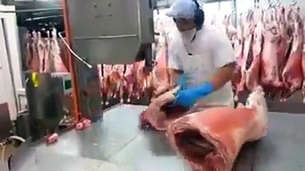 En Komik Videolar Serisi - Funny Videos - Laugh (78)