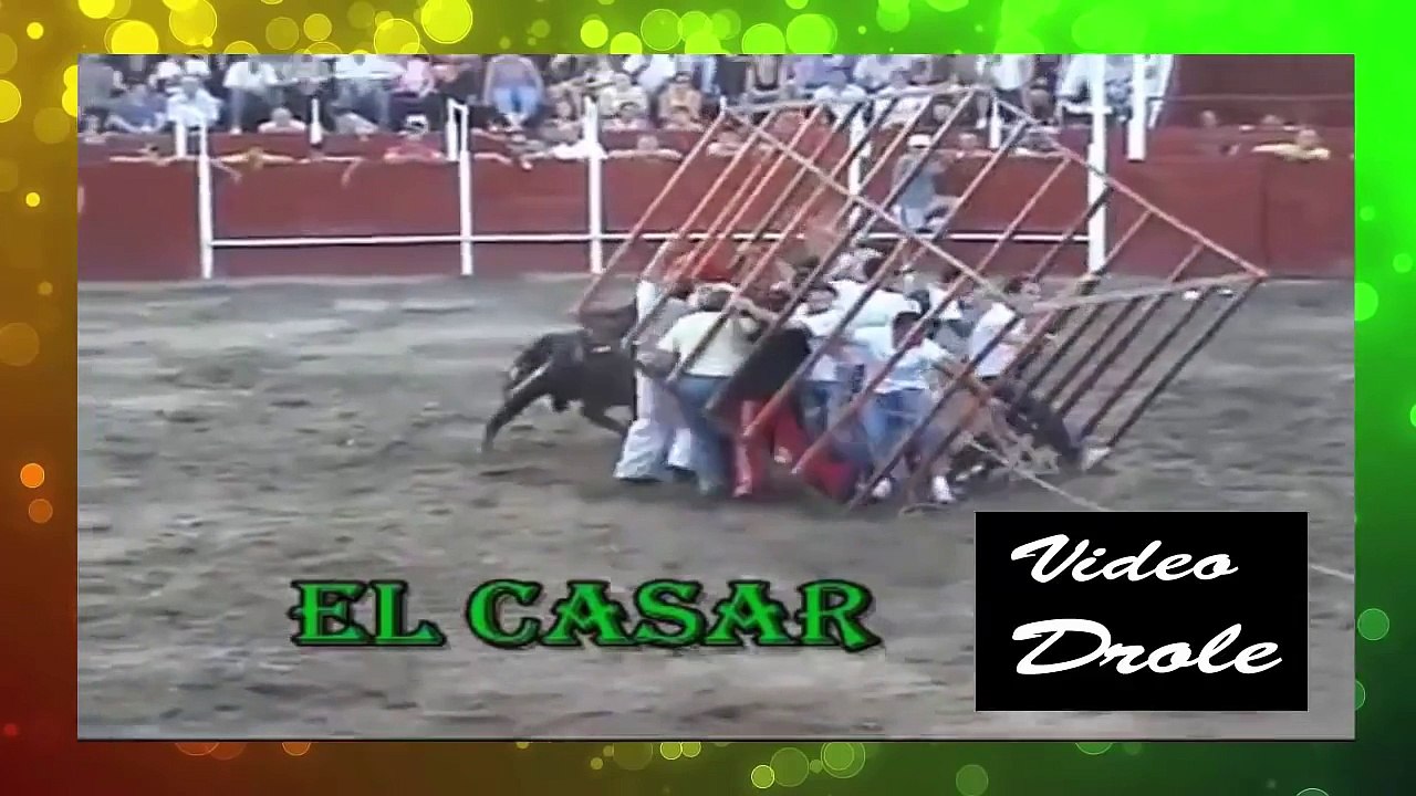 video drole de chute de taureau compilation marrante