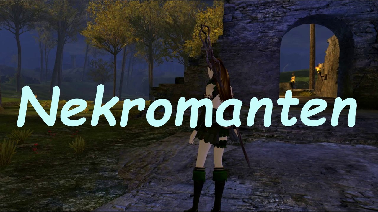 ░ Guild Wars 2 ░  Klasse:  Nekromant