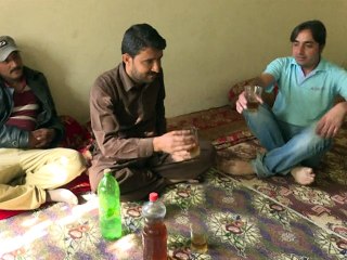 Dans le nord du Pakistan, douces vendanges et enivrements illicites