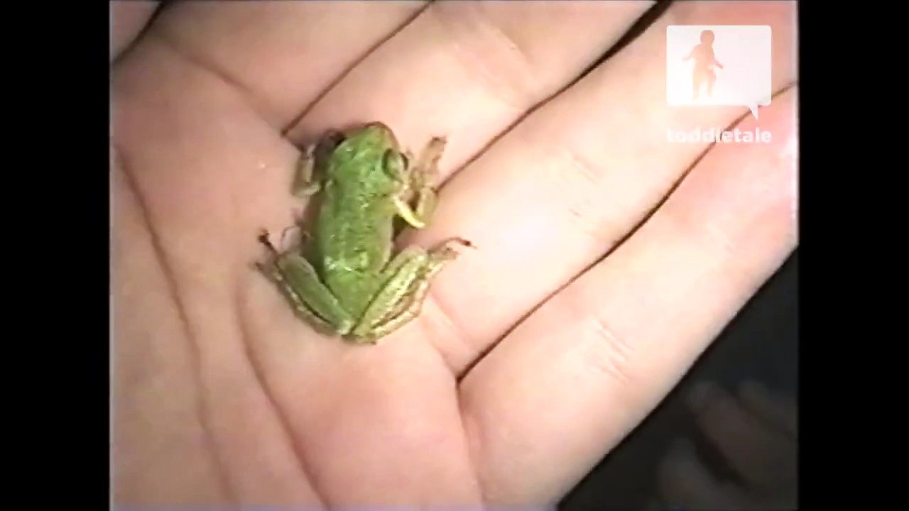 Baby boy eats frog
