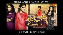 Mera Dard Na Jaany Koi OST - Full Title Song [HQ]