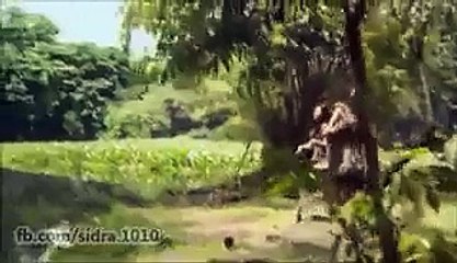 Biggest Crocodile Eats A Girl Alive