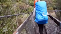 Bridge Collapses In New Zealand