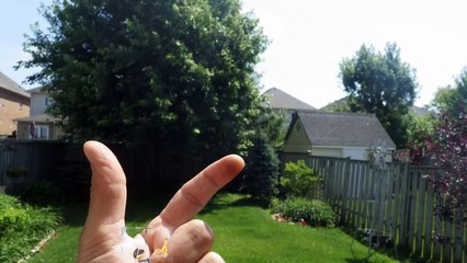 World's Smallest Helicopter