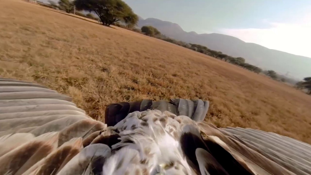 GoPro HERO3  Black Edition Smaller, lighter, mightier still.