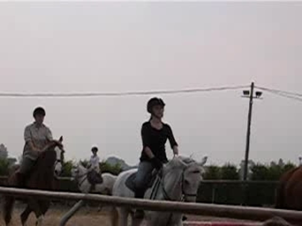 Deuxième heure : dressage