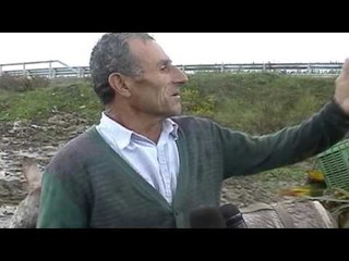 Report TV - Fier, përmbytjet dëmtojnë prodhimet bujqësore