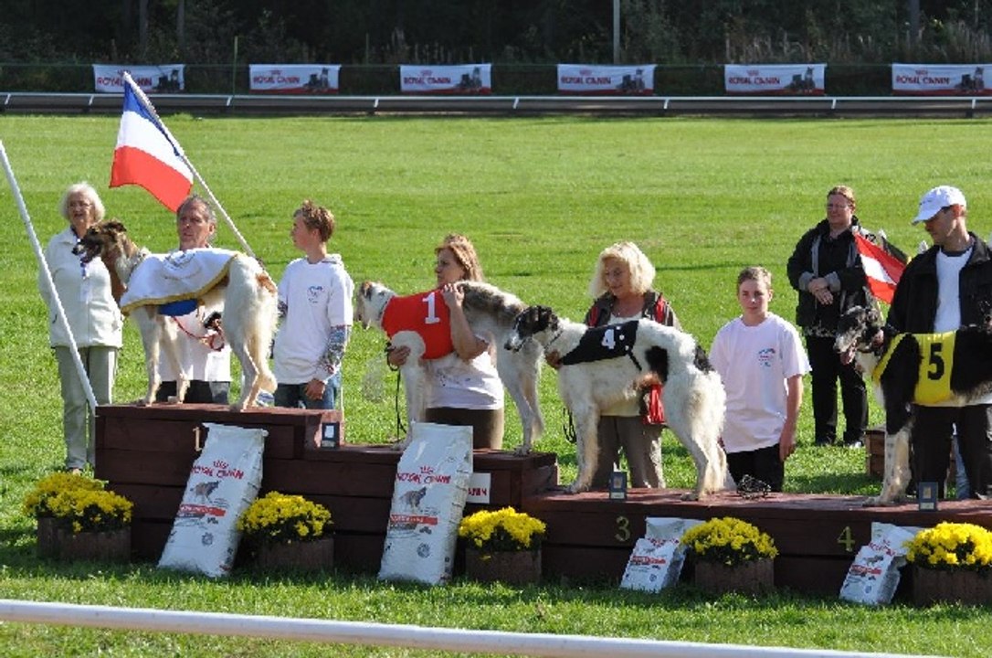 Garchizy - un lévrier de la Nièvre est champion du monde de course  de lévriers