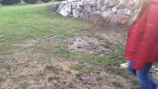 Adorable Baby Deer Plays Soccer With Humans