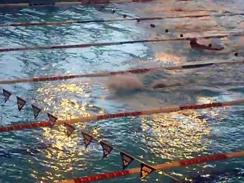 Beauvais aquatic club : le 1er grand meeting