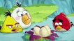 Angry Birds and Bad Piggies Angry Birds  cartoon (part 2)