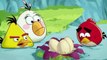 Angry Birds and Bad Piggies Angry Birds  cartoon (part 2)