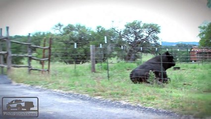 2014 Chevrolet Silverado Impressions