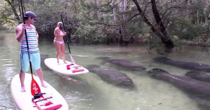 Они этого не ожидали !Рыбы Гиганты !