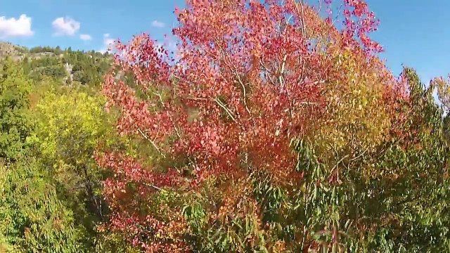 D!CI TV : Cadeau D!CI : Un feu d'artifice de couleurs en 3 minutes