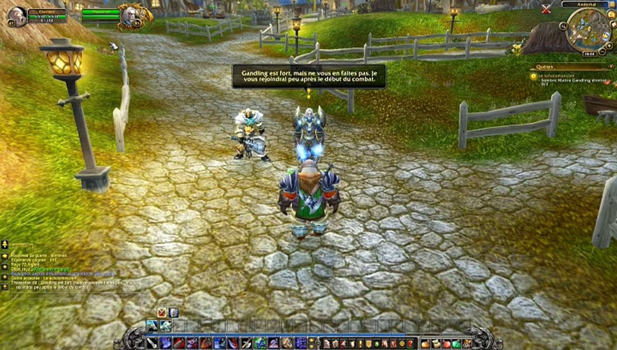 warcraft  (  le scholomancien  )  376
