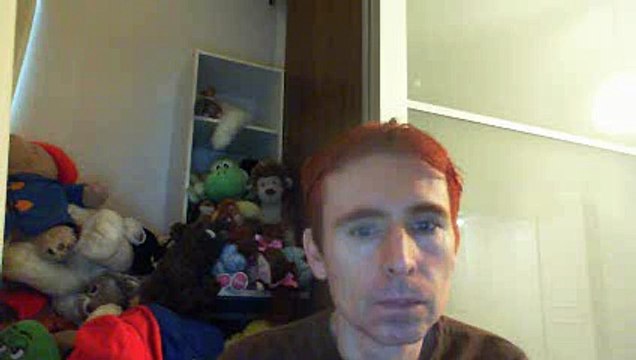 Wiwi égratigne la panique mécanique de Dionysos & Alain Bashung