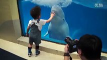 Yaramazlık yapan küçük balina - Funny videos - Komik videolar