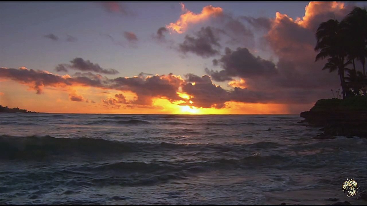 Я просто люблю. исп. Олег Голубев