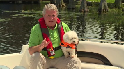 Boating Safely With Pets