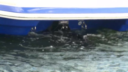 Avoiding Propeller Injuries: Scenario 2